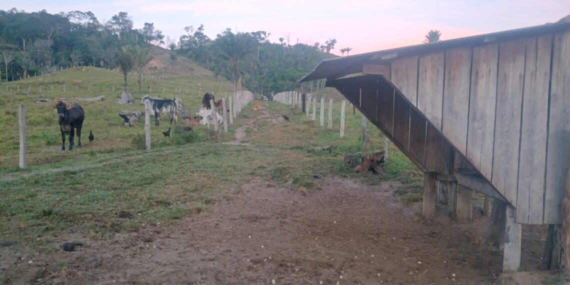 🌿 OPORTUNIDADE RURAL EM VILHENA! 🐂🏡