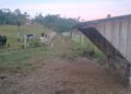 🌿 OPORTUNIDADE RURAL EM VILHENA! 🐂🏡