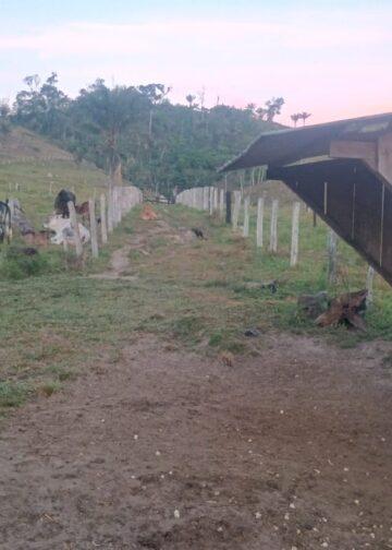 🌿 OPORTUNIDADE RURAL EM VILHENA! 🐂🏡