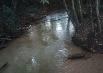 🌿 OPORTUNIDADE RURAL EM VILHENA! 🐂🏡