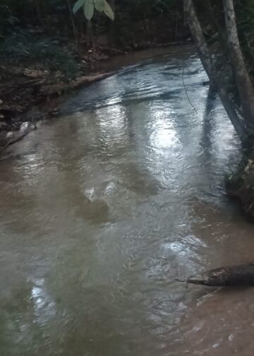 🌿 OPORTUNIDADE RURAL EM VILHENA! 🐂🏡